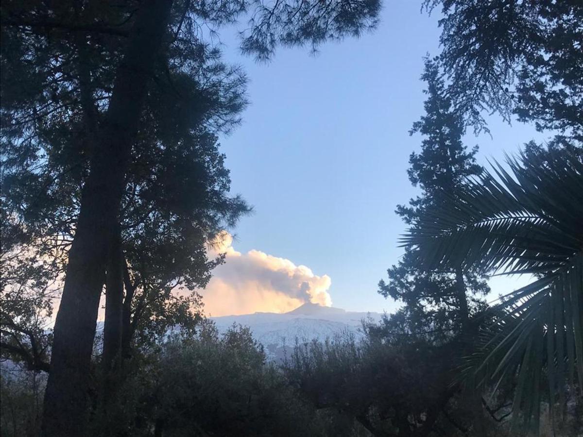 Agriturismo Sole Di Sicilia رانداتسو المظهر الخارجي الصورة