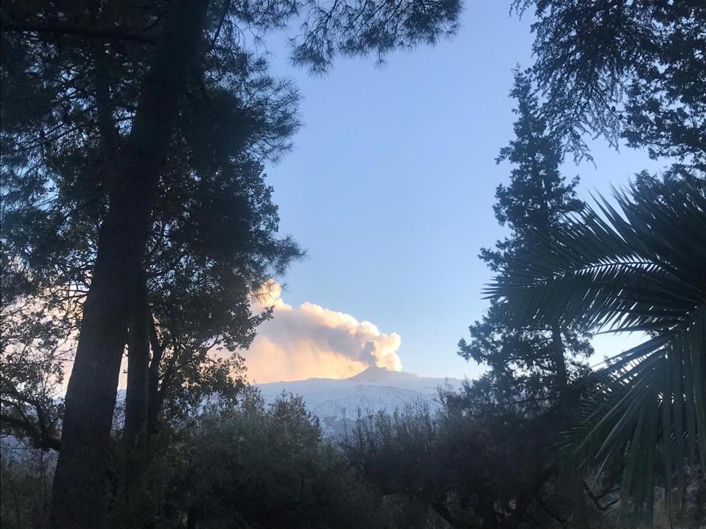 Agriturismo Sole Di Sicilia رانداتسو المظهر الخارجي الصورة