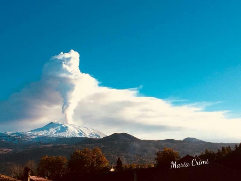 Agriturismo Sole Di Sicilia رانداتسو المظهر الخارجي الصورة
