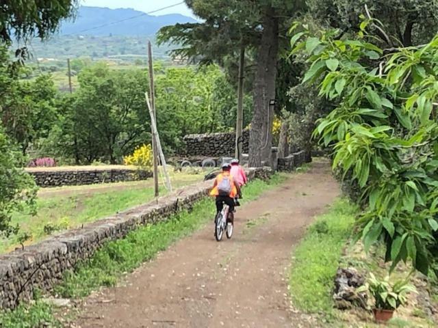Agriturismo Sole Di Sicilia رانداتسو المظهر الخارجي الصورة